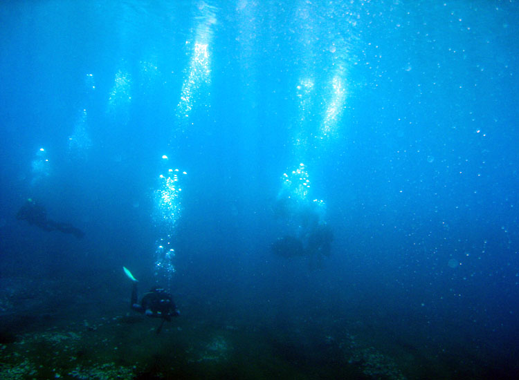 Immersione a Capo D''Acqua (AQ)